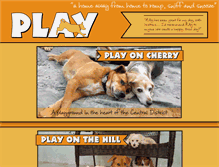 Tablet Screenshot of playdoggiedaycare.com